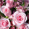 Grußkarte "rosa Rosenstrauss"