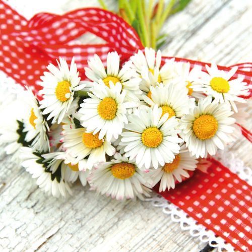 Greeting card "Bouquet of daisies"