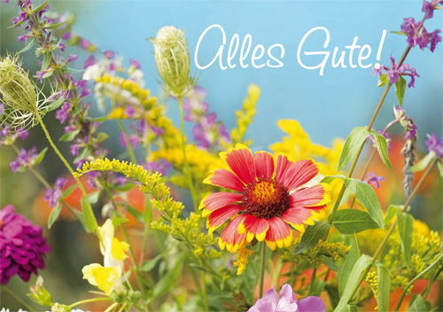 Greeting card "Alles Gute!"